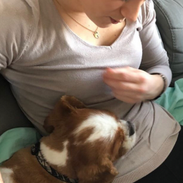 Aude profile