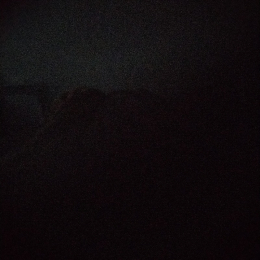 Thyno profile