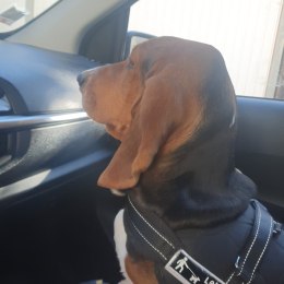Maggie profile