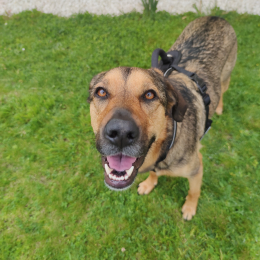 Ava et pablo profile