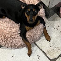 Annie profile