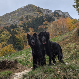 Soum et huayna profile