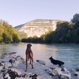 Altaï et nobu profile