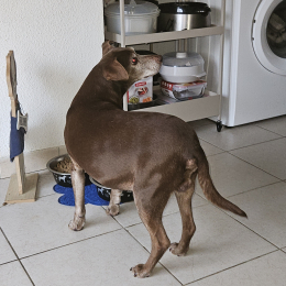 Blanchette youki profile