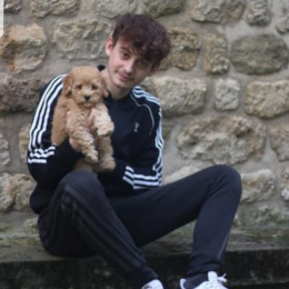 Corentin profile