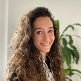 Pilar profile