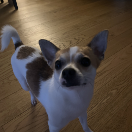 Bingo profile