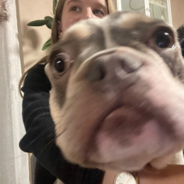 Caroline profile