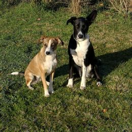 Nissa et nina  profile