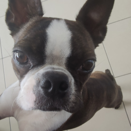 Beppy profile