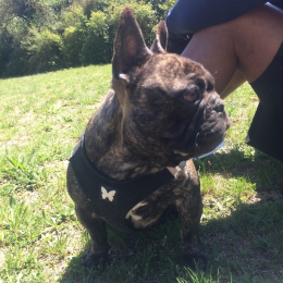Marley profile