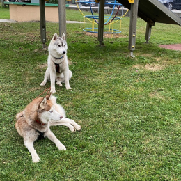 Wapaq et ito profile