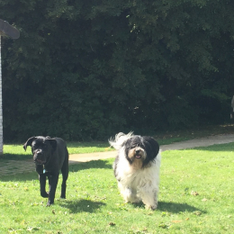 Prozac et morphine  profile