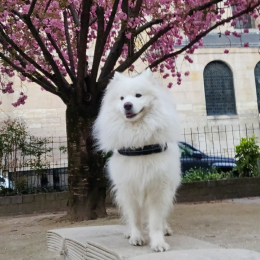 Review of Giulia's profile