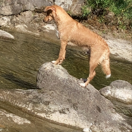 Rio profile