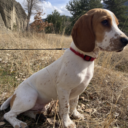 Eliot profile