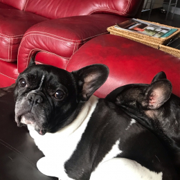 Fanta et pepsi profile