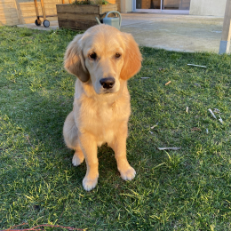 Utsy profile
