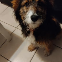 Eden profile
