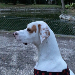 Gaïa profile