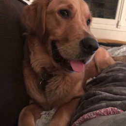 Ora profile