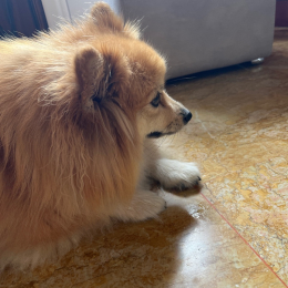 Emy profile