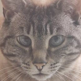 Emy profile