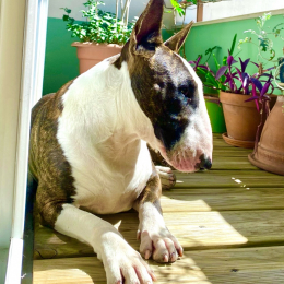 Review of Christophe's profile