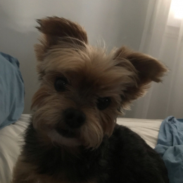 Happy profile