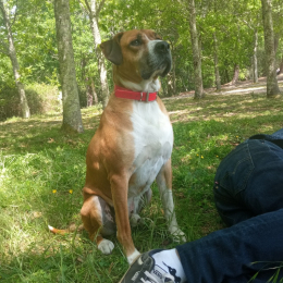 Baptiste profile