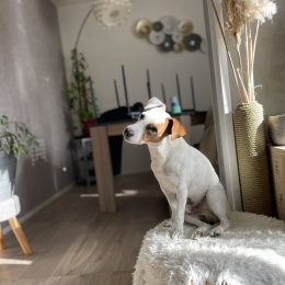 Happy profile