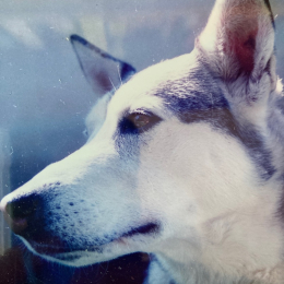 Rita profile