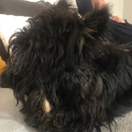 Eliott profile