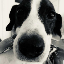 Hope profile