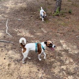 Milo et lenny profile