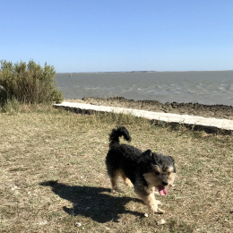 Diego profile