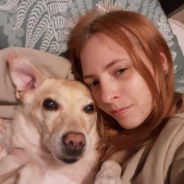 Stella profile