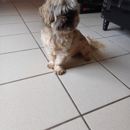 Marley profile