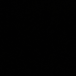 Pereira ribeiro profile