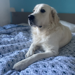 Marley profile