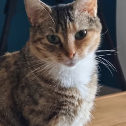 Floriane profile