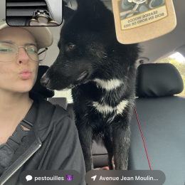 Koda profile