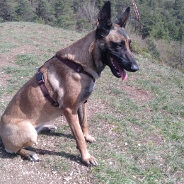 Peps'y profile