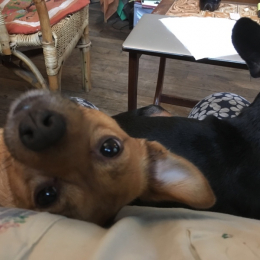 Winny profile
