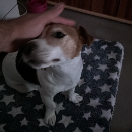 Laky profile
