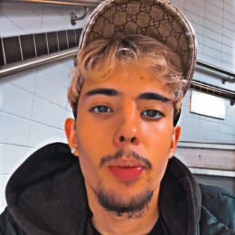 Enzo profile