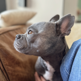 Rio profile