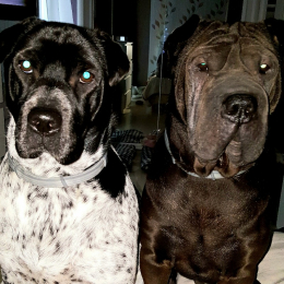 Ghost et grace profile
