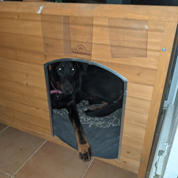 Sia profile