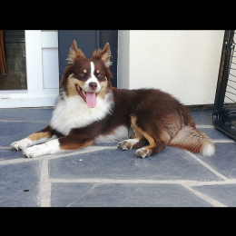 Theo profile